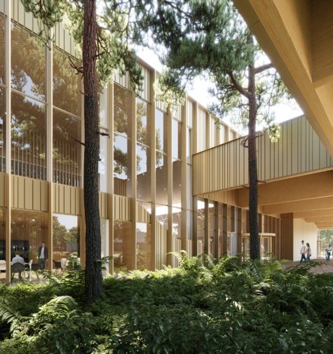 Eindhoven_tongelreep