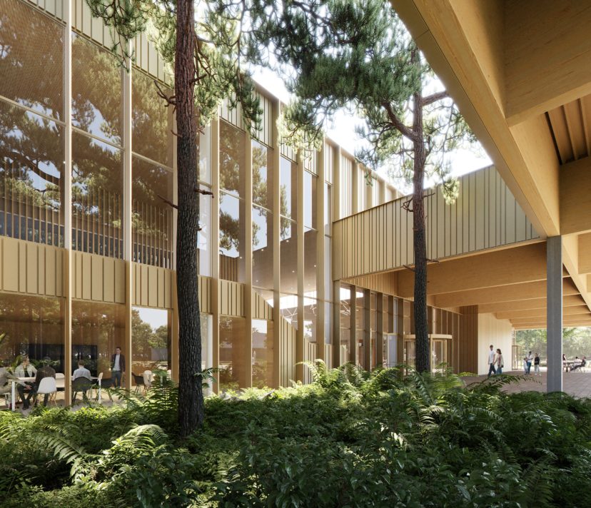 Eindhoven_tongelreep